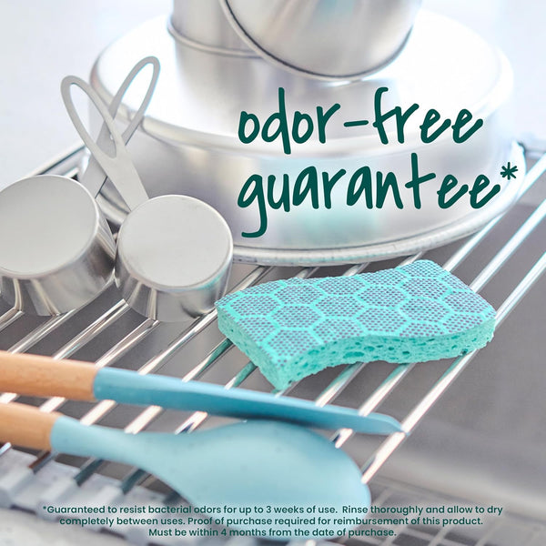 Scotch-Brite Odor Resist Heavy Duty Scrub Sponge, Dishwasher-Safe Kitchen Sponges for Serious Scrubbing, Multipurpose Dish Sponge for Stuck-On
