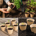 Bluepro 120 Packs 3.15 Inch Peat Pots, Biodegradable Pots for Seedlings with Drainage Holes, Herb Seed Starter 3.15 Inch-120Pcs Biodegradable Pots