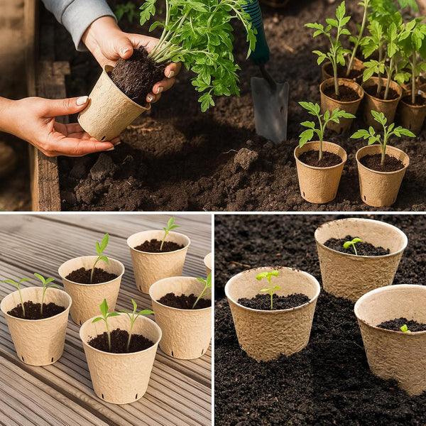 Bluepro 120 Packs 3.15 Inch Peat Pots, Biodegradable Pots for Seedlings with Drainage Holes, Herb Seed Starter 3.15 Inch-120Pcs Biodegradable Pots