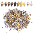 2000 PCS Tiny Mini Small Sea Shells for Crafting Spiral Conch Shells for Crafts Charms for Home Decorations Candle Decor DIY Fish Tank and Beach