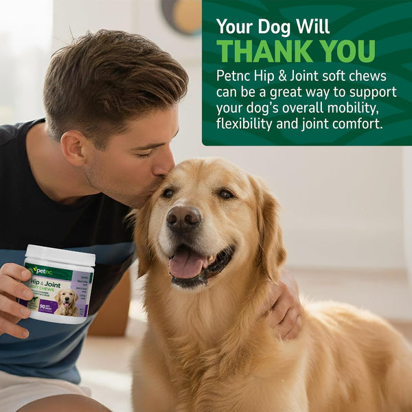 PetNC Natural Care Hip and Joint Soft Chews for Dogs, 90 Count - 27591 90 Count (Pack of 1) All Dogs