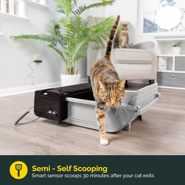 Pet Zone Self Cleaning Automatic Cat Litter Box - Smart Scoop Cat Litter Box wit
