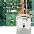 Glade Automatic Spray Refill, Air Freshener for Home and Bathroom, Twinkling Pine & Cedar, 6.2 Oz Twinkling Pine & Cedar 6.2 Ounce (Pack of 1)