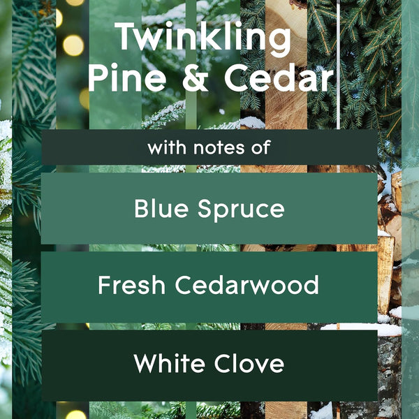 Glade Automatic Spray Refill, Air Freshener for Home and Bathroom, Twinkling Pine & Cedar, 6.2 Oz Twinkling Pine & Cedar 6.2 Ounce (Pack of 1)