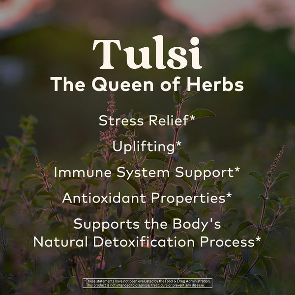 Organic India Tea Sampler Box Variety Pack - Tulsi Herbal Tea Gift Set, Hot Tea Assortment, Holy Basil, Ashwagandha, Turmeric Ginger, Sweet Rose,