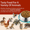 BUNTIE WORMS Dried Black Soldier Fly Larvae 5LB, High Protein Chicken Feed, 100% Natural Non-GMO – Treat for Chicken More Calcium Than Mealworms,