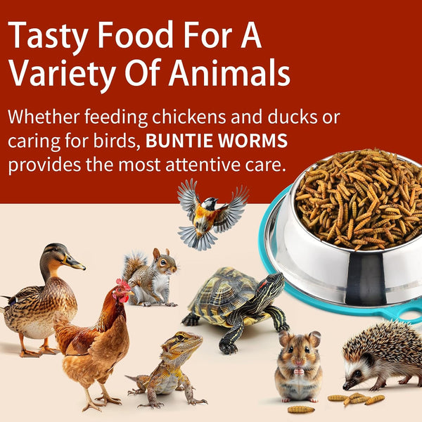BUNTIE WORMS Dried Black Soldier Fly Larvae 5LB, High Protein Chicken Feed, 100% Natural Non-GMO – Treat for Chicken More Calcium Than Mealworms,