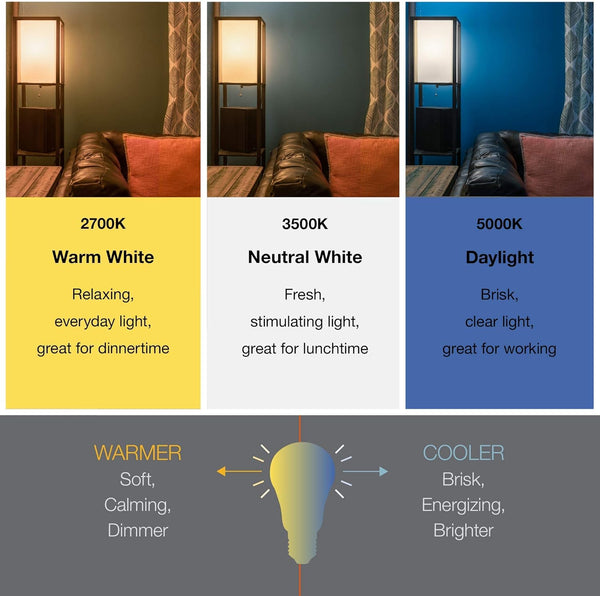 Sylvania LED Flood BR30 Light Bulb, 65W Equivalent Efficient 9W, 10 Year, 650 Lumens, Dimmable, 2700K, Soft White - 2 Pack (73954) 2700k Soft