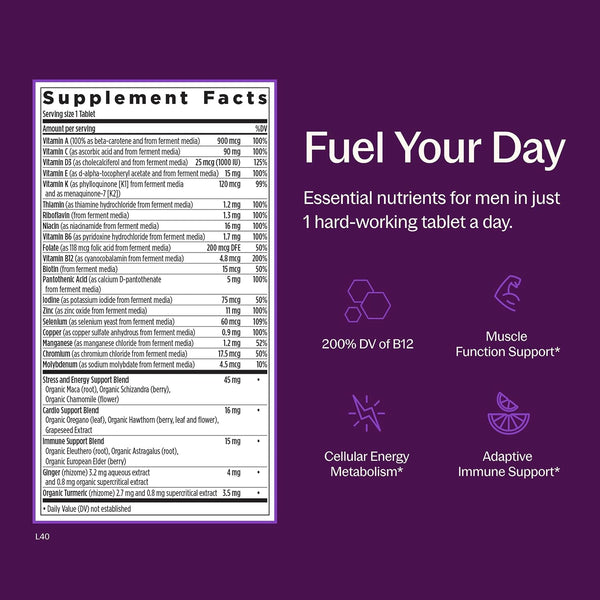 New Chapter Men'S Multivitamin for Immune, Stress, Heart + Energy Support with Fermented Nutrients - Every Man'S One Daily, Made with Organic