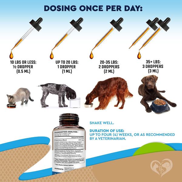 Natural Intestinal Defense for Dogs & Cats – Herbal Cleanse with Black Walnut & Probiotic – Promotes Healthy Gut & Flora Balance – Advanced Broad