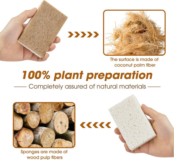 GREENTH PRO 10 Pack Nature Dish Sponge - Natural Kitchen Sponge - Coconut Fiber and Wood Cellulose Scrubber