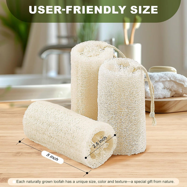 5 Inch Natural Loofah Sponge Exfoliating Body Scrubber 1 Count (Pack of 3)
