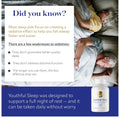 Youthful Sleep | Natural Sleep Support, No Melatonin, Supports Deep Rest and Improved Next-Day Function, Safe for Daily Use | 60 Capsules (1-Month