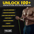 Long Resistance Bands for Working Out Men and Women - Set of 5 Pull-Up Bands, Rubber Handles and Door Anchor - Workout Bands Resistance for Men -