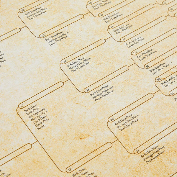Okuna Outpost Family Tree Charts to Fill in - 8 Generation Genealogy Charts with 255 Name Spaces - Blank Family Tree Posters on Poster Paper for