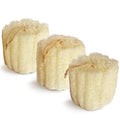Natural Shower Loofah Sponge, Bath Exfoliating Loofa Body Scrubber, 5.5 “Soft and Easy Foaming Spa Lufa Sponges (3 Pack) 3 Count (Pack of 1)