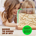 Dan&Darci Ant Farm Kit for Kids - Farms Colony - Includes Ants Voucher - Sand Habitat Kits - Bug Terrarium House - Educational Science Gifts for