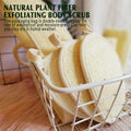 YIQINGJIE Natural Loofah Sponge Exfoliating Body Scrubber (3 Pack) Beige Beige 1 Count (Pack of 3)