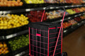 Handy Laundry Shopping Cart Liner, 18" X 15" X 24", Square Bottom, Fits Standard Shopping Cart, Cover and Adjustable Straps for Easy Secure