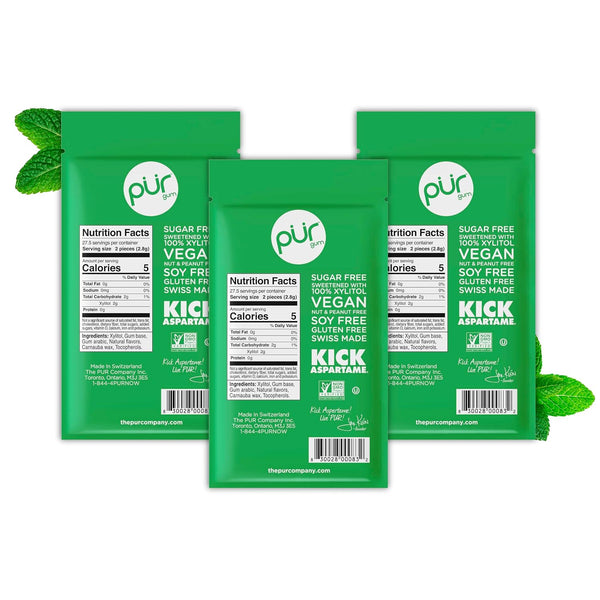 PUR Gum, Spearmint, Xylitol Gum, No Artificial Flavor, 165 Count (3x55) Spearmint 55 Count (Pack of 3)