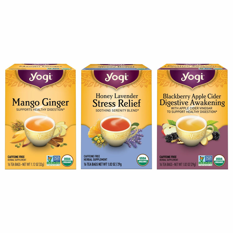 Yogi Tea Iced Variety Sampler - 16 Bags per Pack (3 Packs) - Organic Tea Sampler - Includes Mango Ginger, Blackberry Apple Cider Digestive