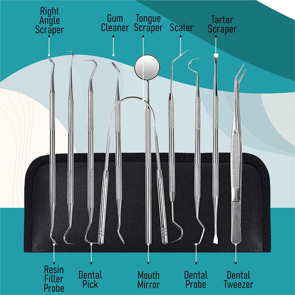 Dental Kit Tools, 10 Pack Stainless Steel Plaque Remover, Dental Tools to Remove Plaque and Tartar, Oral Care Kit with Plaque Cleaner, Tartar