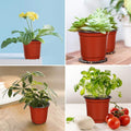 Augshy Nursery Pot, 110 Pcs 4" Plastic Plants Pot,Seed Starting Pots, Indoor Outdoor Seeding pots | Plastic,Drainage Holes,for Garden Flower