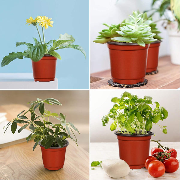 Augshy Nursery Pot, 110 Pcs 4" Plastic Plants Pot,Seed Starting Pots, Indoor Outdoor Seeding pots | Plastic,Drainage Holes,for Garden Flower