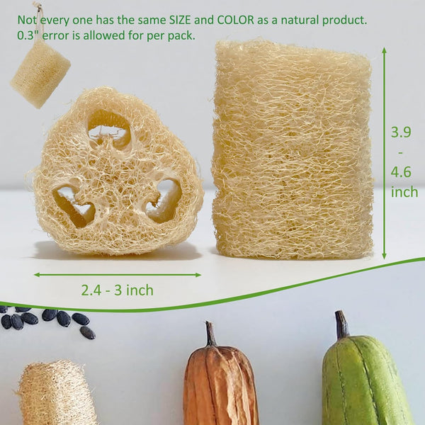 Natural Loofah Sponge Shower Organic Luffa Bath Loofa Exfoliating Body Scrubber Loofah for Men Women Adults Back Face Body Skin SPA Care - 6 Pieces