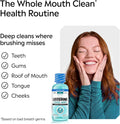 Listerine Cool Mint Alcohol Free Mouthwash, Mild Mint, 3.2 fl. oz/95 mL 3.2 Fl Oz (Pack of 1)