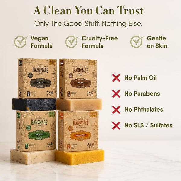 360Feel Mens Bar Soap - Made in the USA - Castile Handmade All Natural Cold Processed - Gentle on Sensitive Skin - 4 Bold Masculine Scents: Bay
