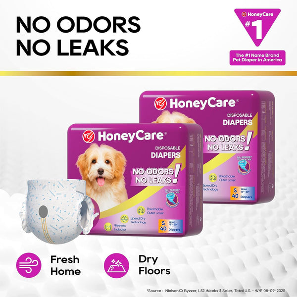 HONEY CARE All-Absorb Disposable Female Dog Diapers Small Size, Improved, 40 Count, Super Absorbent, Breathable, Wetness Indicator (Pack of 1, 40