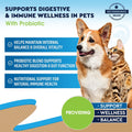 Natural Intestinal Defense for Dogs & Cats – Herbal Cleanse with Black Walnut & Probiotic – Promotes Healthy Gut & Flora Balance – Advanced Broad