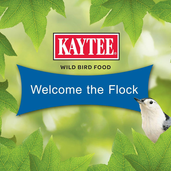 Kaytee Wild Bird Gourmet Seed Cake For Cardinals, Chickadees, Juncos, Titmice, Woodpeckers and More, 2 Pounds 2 Pound (Pack of 1) Gourmet, 1 Count