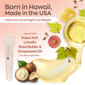 Hanalei Kukui Oil Lip Treatment – Natural Nude, Overnight Balm 15g | Kukui Oil, Shea Butter & Grapeseed Oil, Intensive Overnight Moisturizer,