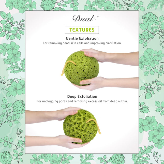 Spongentle Deep Cleansing Body Loofah Sponge, Natural Colors, for Bath and Showe