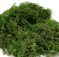 Generic Usmola Fake Moss, Artificial Green Moss for Potted Plants Fairy Garden Accessories, 4OZ (Fresh Green) 4 OZ