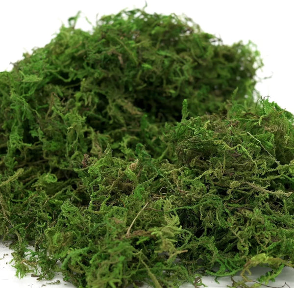 Generic Usmola Fake Moss, Artificial Green Moss for Potted Plants Fairy Garden Accessories, 4OZ (Fresh Green) 4 OZ