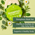 Viori Tea Tree Mint Shampoo Bar for Oily Scalp - Essential Oil, Rice Water Tea Tree & Mint 3.1 Ounce (Pack of 1)
