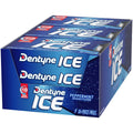 Dentyne Ice Peppermint Sugar Free Gum, 9 Packs of 16 Pieces (144 Pieces) | Chewing Gum, Perfect for Long Lasting Fresh Breath at School, Work &