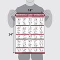 Palace Learning 4 Pack - Resistance Bands Workout Exercise Posters Volume 1, 2 & 3 + Resistance Loops Fitness Chart (LAMINATED, 18" x 24") 18" x