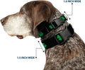 Buckle-Down 6-9" St. Pat'S Black/Green Plastic Clip Collar, Narrow Small 1/2" Wide - Fits 6-9" Neck - Small