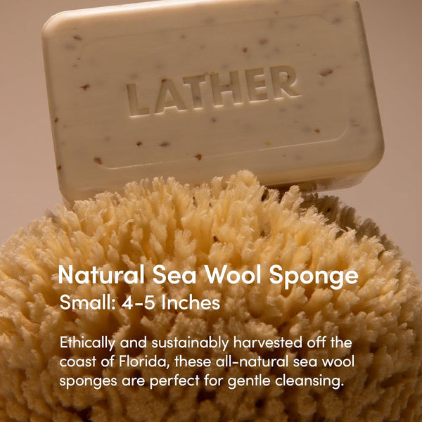 LATHER - Natural Sea Wool Sponge, 4-5" - Organic Exfoliating Body Scrubber - Soft, Gentle Cleansing - Hypoallergenic - All Skin Types - Florida