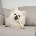 MON2SUN Dog Rawhide Twist Sticks Natural 5 Inch Thin Sticks Rawhide Chews Treats for Puppy and Small Dogs 60 Count, 12.7Oz