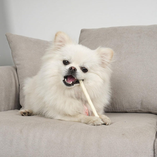 MON2SUN Dog Rawhide Twist Sticks Natural 5 Inch Thin Sticks Rawhide Chews Treats for Puppy and Small Dogs 60 Count, 12.7Oz