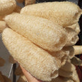 10 Pcs (5 – 7 Inches) Shower Loofah Exfoliating Body Scrubber | Natural Loofah Sponge | Bath for Loofah for Men and Women | Pack of 10 1 Count