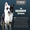 Nutramax Dasuquin MSM Joint Supplement, Small/Med Dogs, Chew Tablets150ct | Glucosamine and Chondroitin, Chewable Tablets for Dogs under 60 lbs,