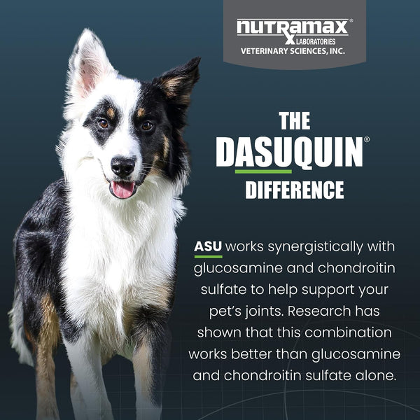 Nutramax Dasuquin MSM Joint Supplement, Small/Med Dogs, Chew Tablets150ct | Glucosamine and Chondroitin, Chewable Tablets for Dogs under 60 lbs,