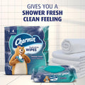 Charmin Flushable Wipes, 160 Total Wipes (4 Packs of 40) 40 Count (Pack of 4)