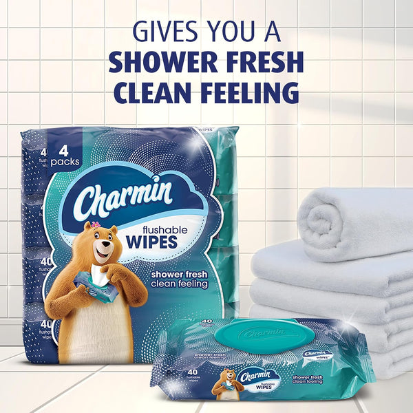 Charmin Flushable Wipes, 160 Total Wipes (4 Packs of 40) 40 Count (Pack of 4)